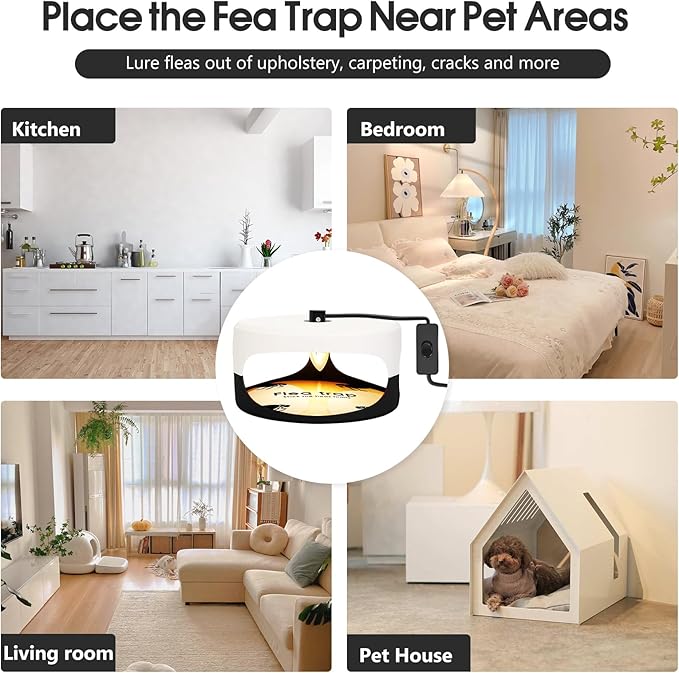 2 Pack Flea Traps for Inside Your Home, Indoor Flea Light Bed Bug Killer with 6 Light Bulb & 4 Sticky Pads Refills & Switch, Odorless Natural Insect Trap for Kid Pet, Safer Than Sprays & Powders