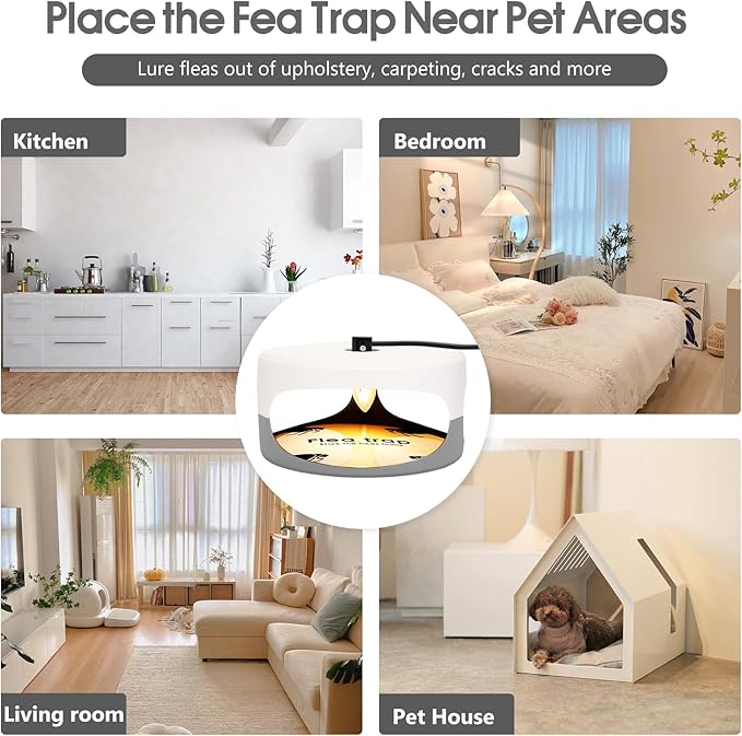 4 Pack Flea Traps for Inside Your Home, Original Indoor Flea Light Bed Bug Killer w/ 12 Sticky Pads & 12 Light Bulb Refills Replacement, Odorless Insect Infestation Treatment Trap Lamp for Kid Pet