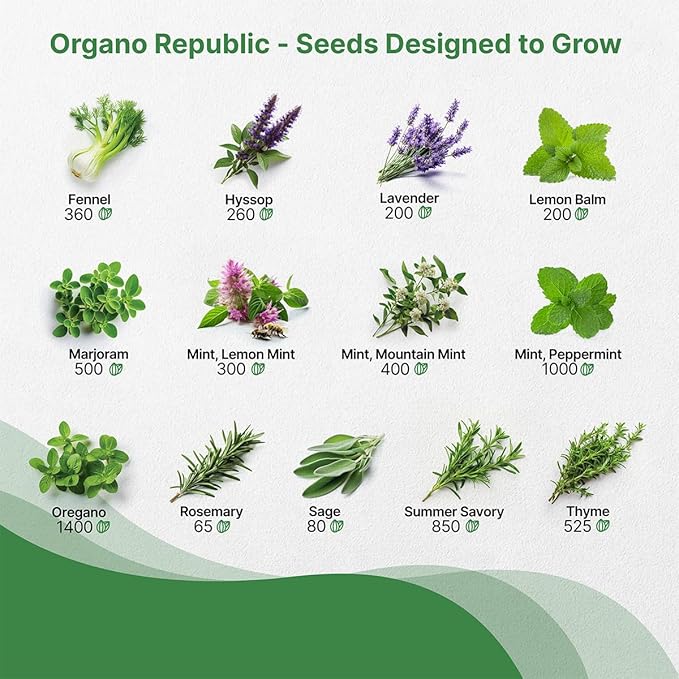 25 Most Popular Herb Seeds Variety Pack - 11,700 Non-GMO Heirloom Seeds for Planting Herbs in Individual Seed Packets for Hydroponic, Indoor & Outdoor Gardening