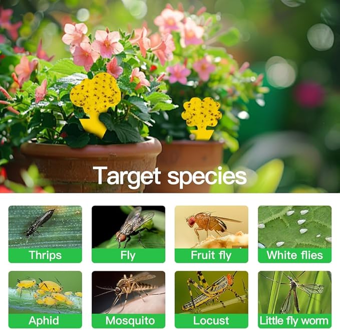 58 Pcs Yellow Flying Insect Traps for Plants,Indoors, Outdoors, Kitchen, Sticky Traps for Fungus Gnat, Fly and Fruit Fly, Flying Insects, Non-Toxic & Odorless, Kid & Pet Safe, Economic Pack (Yellow)