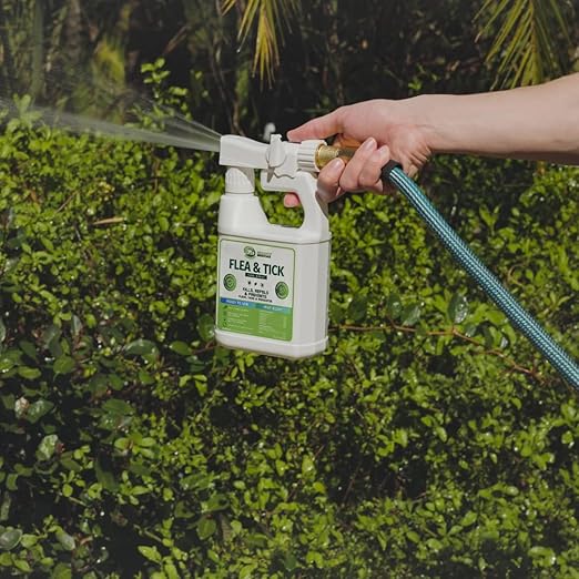 Mosquito Magician Flea and Tick Yard Spray with Hose End Sprayer – Mosquito & Tick Killer and Repellent, Flea Treatment & Outdoor Bug Control for Lawn, Garden & Backyard – Mint Scent, 32 OZ