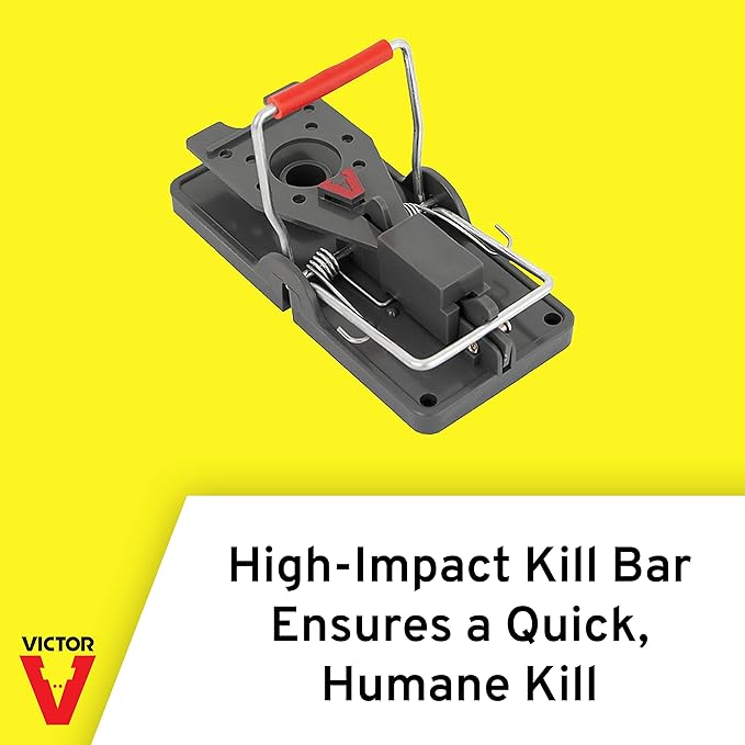 Victor Humane Mouse Traps M393SSR - Easy Set Reusable Mouse Trap - Pack of 36