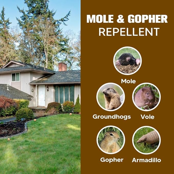 Mole Repellent, Gophers Repellent, Vole Repellant Outdoor, Groundhog Deterrent, Armadillo Repellent for Garden, Mole Control, Keep Mole Out of Yard, Safe Around Pet & Plant-10P