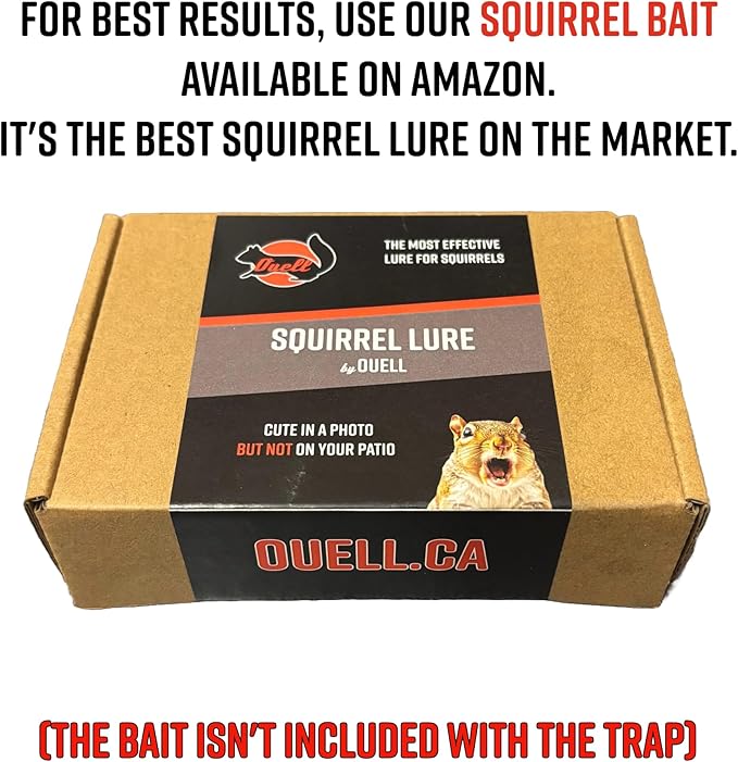 Big Squirrel Trap Indoor Outdoor – Medium Rodent Trap – Ouell Traps – Black and Grey Squirrels – QAI Quell – Most Powerful Trap