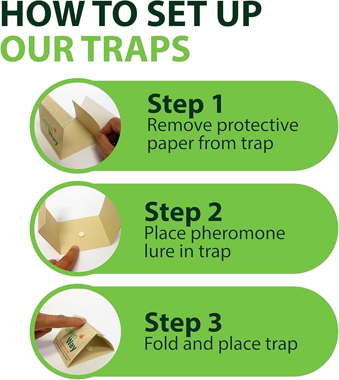 Greenway Silverfish and Spider Traps, Non-Toxic Indoor with High-Strength Glue for Safe, Effective Home Protection, 1 Pack (Includes 6 Traps)