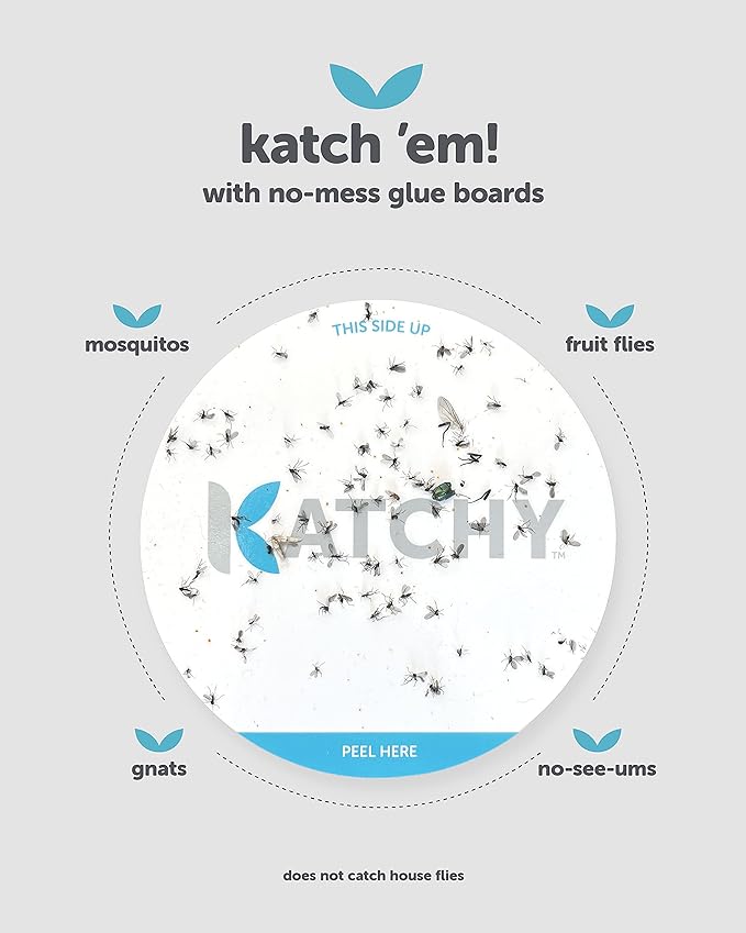 Katchy Duo Indoor Fruit Fly Trap (White) & 8 Pack Refillable Glue Boards