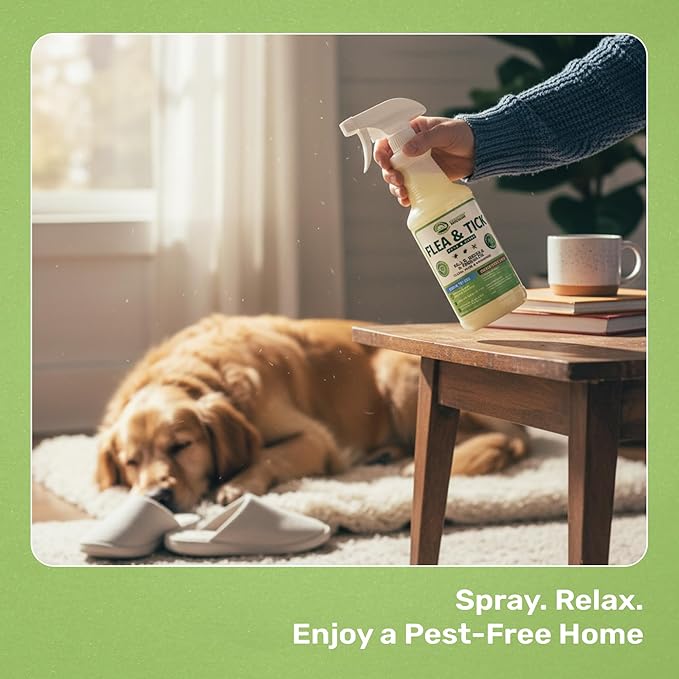 Mosquito Magician Indoor and Outdoor Spray - Use for Carpet, Furniture, Bedding, Couches & Pets – Plant-Sourced with Essential Oil – Rosemary, 32 OZ