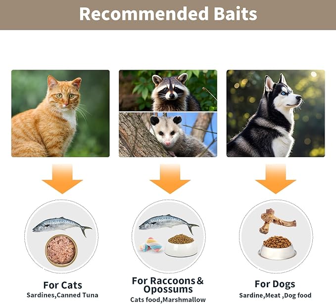 Animal Traps,Live Animal Trap for Cats,Raccoons,Rabbits,cat Trap for Stray Cats,Live Traps for Raccoons,Steel Foldable with Pedal Triggers (41.33 x 16.14 x 18.11 inches)