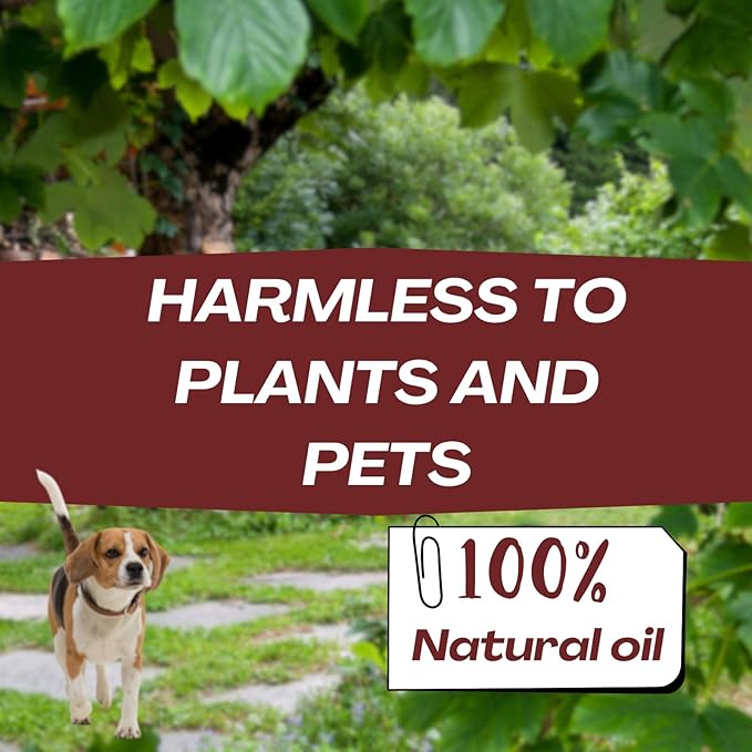 Snake Repellent for Yard & Home Areas - Outdoor/Induce Deterrent Formula, Plant-Based,Pet & Child Safe, 12 PCS Covers Up to 650 Sq.Ft