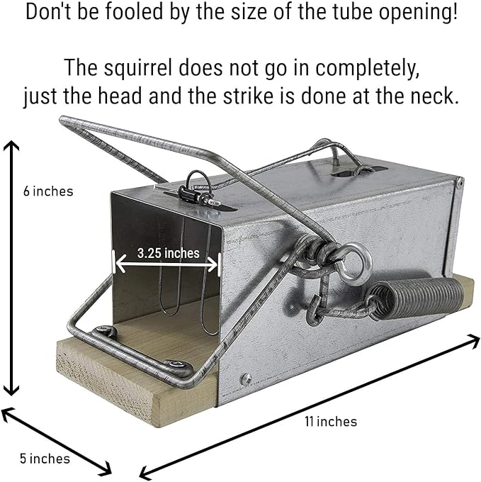 Big Squirrel Trap Indoor Outdoor – Medium Rodent Trap – Ouell Traps – Black and Grey Squirrels – QAI Quell – Most Powerful Trap
