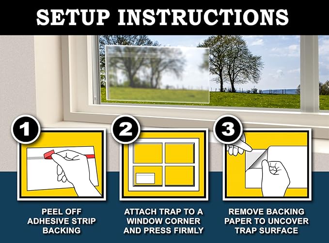 MaxGuard Window Fly Traps (24 XL Traps) Catch & Kill Houseflies, Flying Insects & Bugs. Non-Toxic Sticky Glue Traps Fly Killer Clear Strip Insect Catcher Safe No Zapping with Zapper |