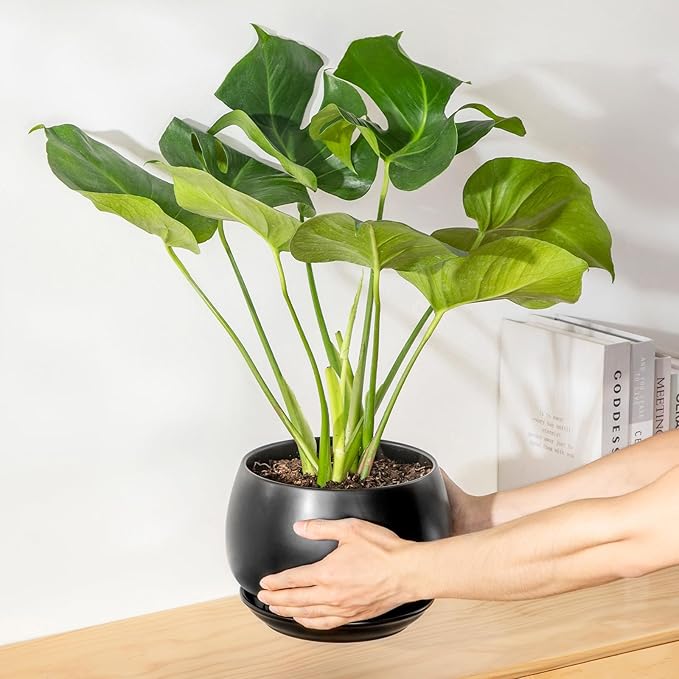 vancasso 3-Pack Ceramic Plant Pots, 7.3/9.6/11.6 Inch Indoor Planters with Saucers & Drainage Hole Planter pots for Indoor Plants and Flower, Black
