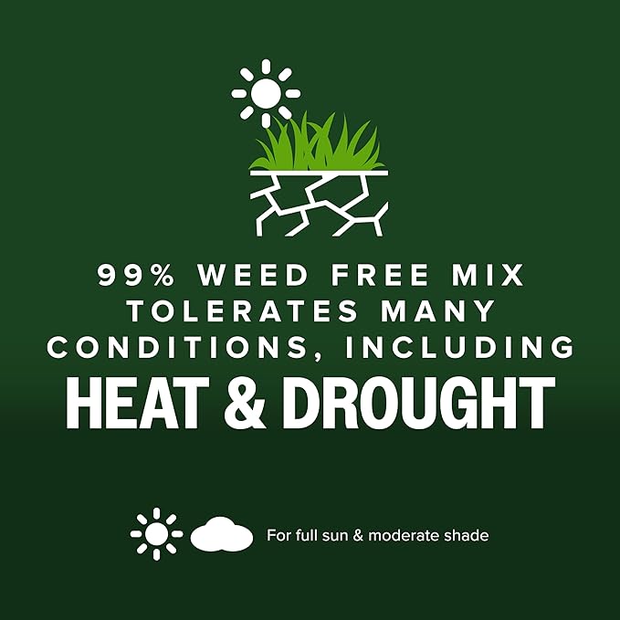 Scotts Kentucky 31 Grass Seed Mix for New Lawns or Overseeding, Grows Thicker and Greener vs. Other Kentucky 31 Mixes, Covers up to 10,000 sq. ft.