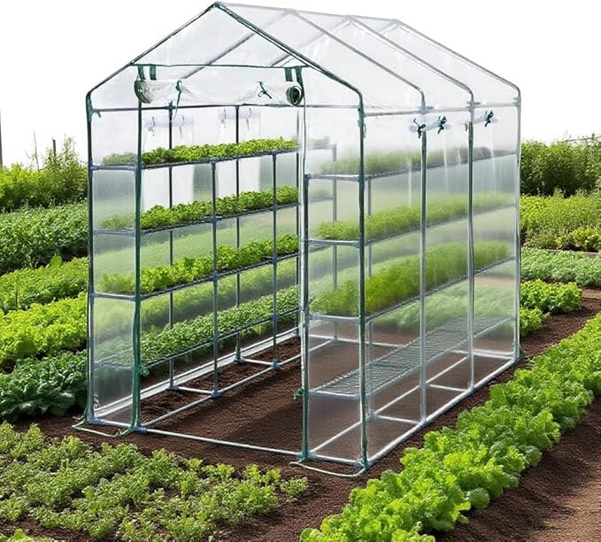 Greenhouse, 57 x 85 x 77'' Greenhouses for Outdoors, with Mesh Side Windows, PE Cover, 8 Shelves, Heavy Duty Walk in Green House for Backyard Garden Indoor, White& Green Outside