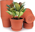 homenote Pots for Plants, 15 Pack 6 Inch Plastic Planters with Multiple Drainage Holes and Tray - Plant Pots for All Home Garden Flowers Succulents (Terra Cotta)