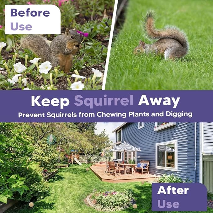Squirrel Repellent Outdoor, Chipmunk Repellent, Repellent for Squirrels, Squirrel Deterrent for Gardens/Attics/Cars/Bird Feeders (1 Ounce (Pack of 8))
