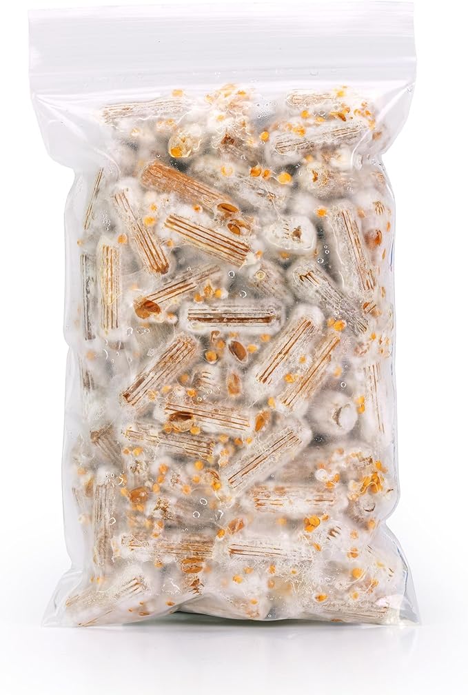 North Spore Organic Reishi (100 ct) Mushroom Plugs for Logs | Premium Quality Mushroom Plug Spawn | Handmade in Maine, USA | Grow Gourmet Mushrooms Outdoors on Logs | Ganoderma lucidum