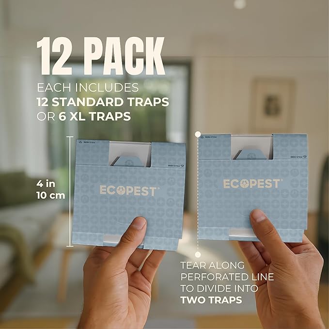 Spider Trap – 12 Pack | Sticky Indoor Glue Traps for Spiders and Other Bugs and Crawling Insects | Adhesive Spider Bait Trap, Monitor, Killer and Detector for Pest Control