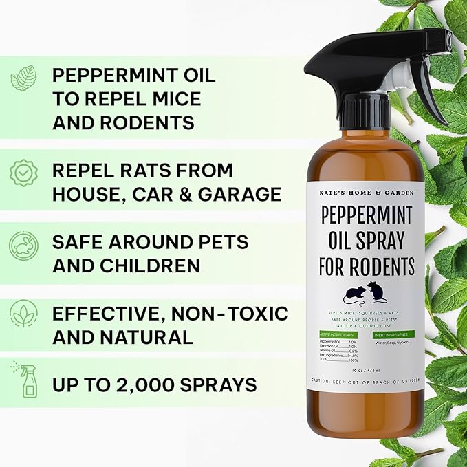 Kate Naturals Peppermint Oil Spray for Rodents, Squirrels, Mouse, Bat, Rat, Car Engines (16oz, Non-Toxic Rodent Repellent, Pet Safe)