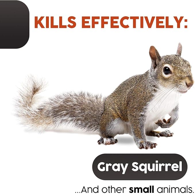 Big Squirrel Trap Indoor Outdoor – Medium Rodent Trap – Ouell Traps – Black and Grey Squirrels – QAI Quell – Most Powerful Trap