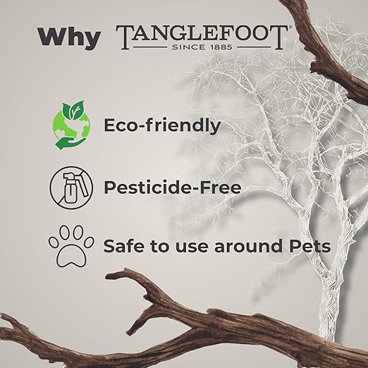 Tanglefoot Tangle-Trap Sticky Coating Aerosol Spray, 10oz – Long-Lasting Adhesive for DIY Insect Traps, Garden & Home Use, Easy Application