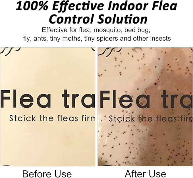 Flea Traps for Inside Your Home, 2 Pack Flea Trap with Sticky Pads Refills & Light Bulb Replacement, Odorless Natural Indoor Bed Bug Light Killer Insect Infestation Treatment Trap for Kids Pet