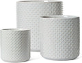 LE TAUCI Ceramic Plant Pots Indoor, 10+8+6 Inch Planters for Indoor Plants, Raised Dots Flower Pots with Drainage Hole and Plug, Cylinder Round Planters, Set of 3, Glaze Star Gray