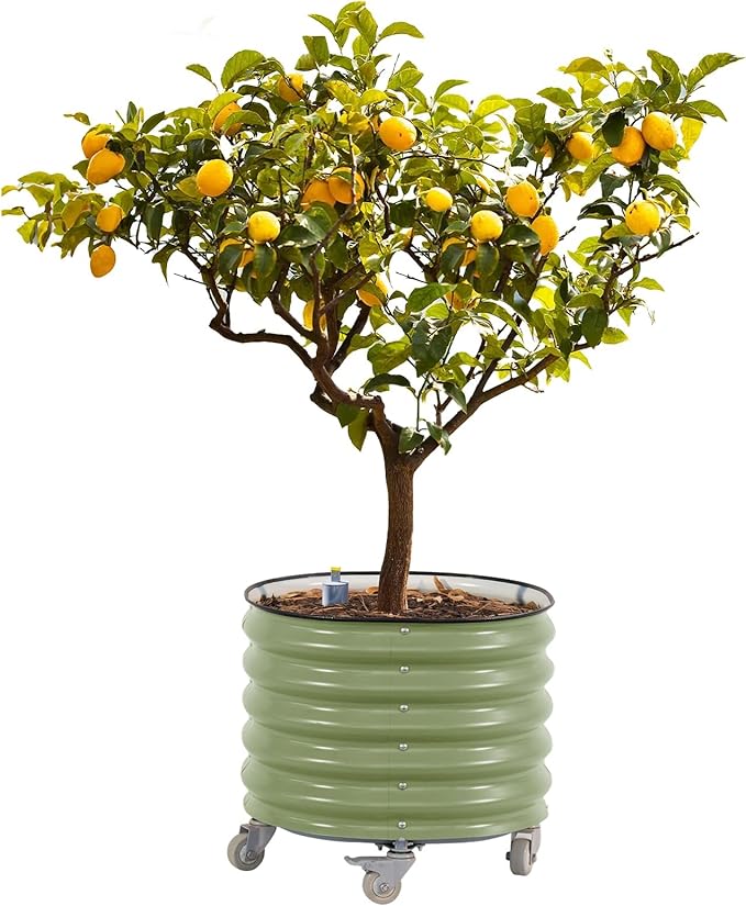 Rolling Metal Citrus Tree Planter, Self-Watering Round Planter Box for Porch Patio & Backyard, Raised Garden Bed with Wheels for Growing Trees Tomatoes Vegetables and Flowers, Single Pack-Olive Green