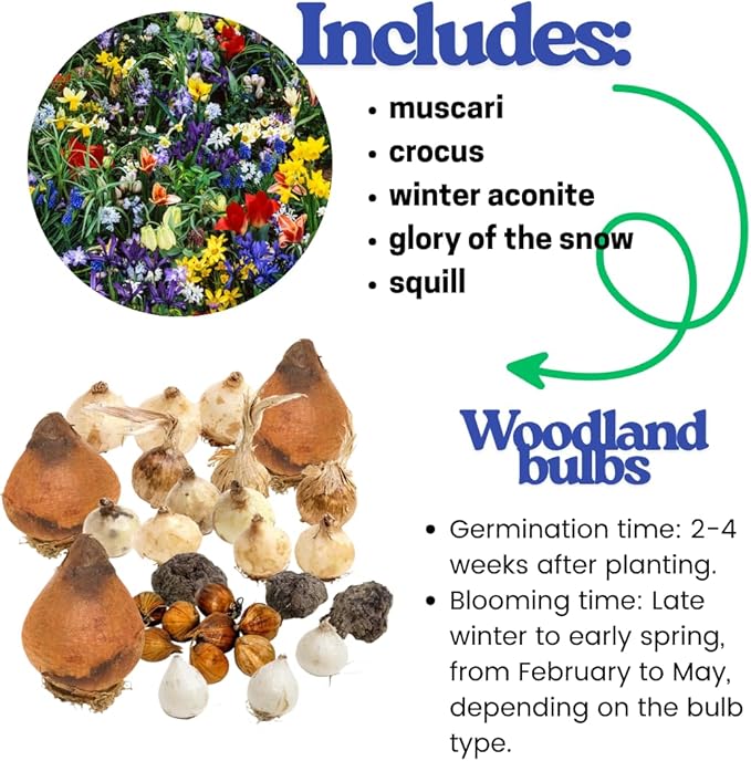 50 Mixed Flowers Bulbs for Fall Planting, Early Spring Bloom, 50 Days Colorful Blooms, Top Size Bulb, Easy Care, 5 Random Varieties for Groundcover