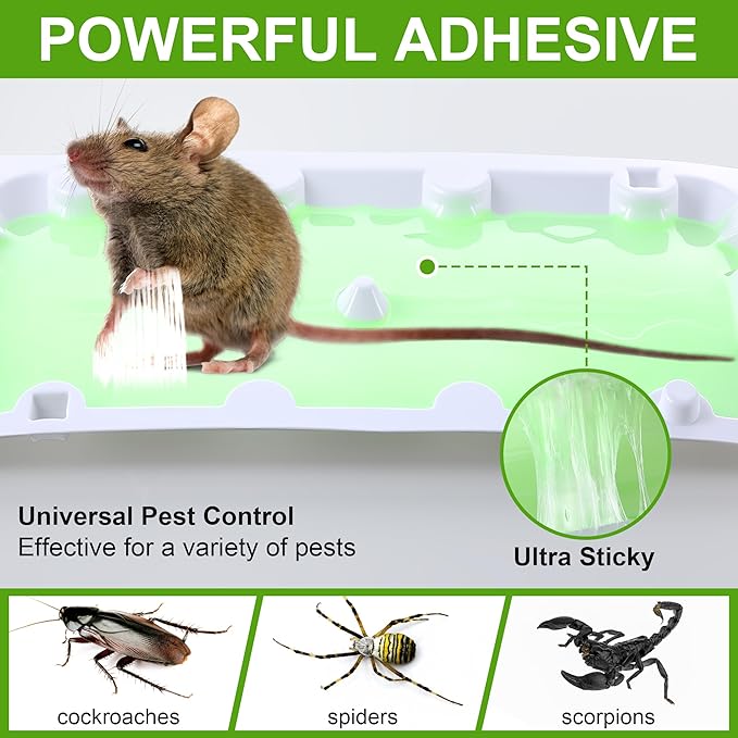 Qualirey 100 Pack Mouse Glue Trap, Super Sticky Traps Mouse Size for Mice and Rats, Pre-Scented, Non Toxic Mice Glue Boards, Rodent Sticky Pads Indoor for Home, Easy to Use, Pet Safe Pest Control