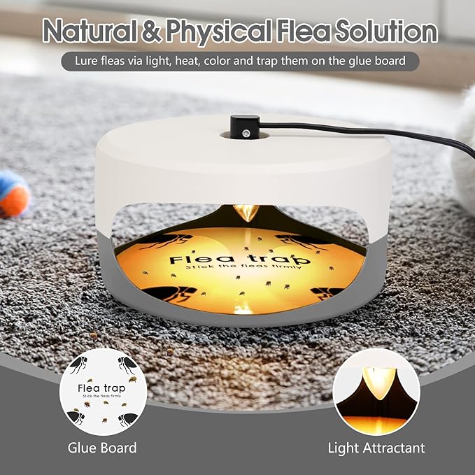 4 Pack Flea Traps for Inside Your Home, Original Indoor Flea Light Bed Bug Killer w/ 12 Sticky Pads & 12 Light Bulb Refills Replacement, Odorless Insect Infestation Treatment Trap Lamp for Kid Pet