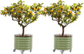 Rolling Metal Citrus Tree Planter, Self-Watering Round Planter Box for Porch Patio & Backyard, Raised Garden Bed with Wheels for Growing Trees Tomatoes Vegetables and Flowers, Twin Pack-Olive Green