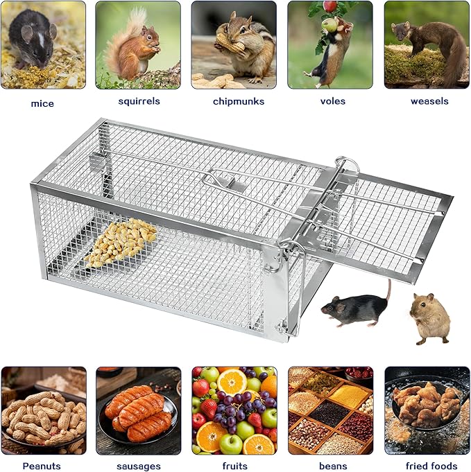2 Pack Humane Rat Traps - Rodent Trap for Squirrel Mouse Mice, Live Rat Traps Catch and Release for Indoors and Outdoors-（10.6 * 5.5 * 4.7in）