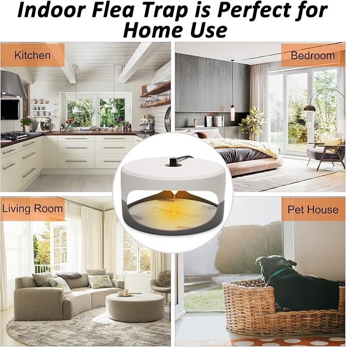 Flea Traps for Inside Your Home, 2 Pack Flea Trap with Sticky Pads Refills & Light Bulb Replacement, Odorless Natural Indoor Bed Bug Light Killer Insect Infestation Treatment Trap for Kids Pet