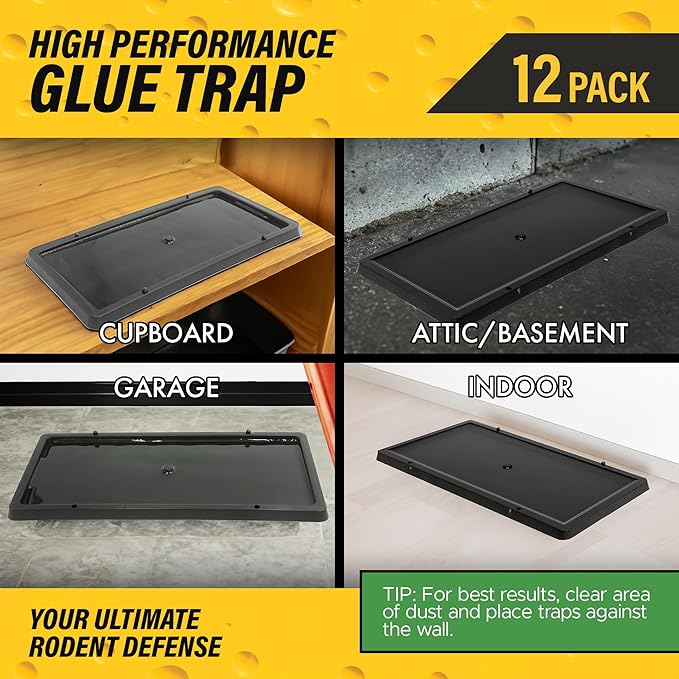 TRATPER Glue Traps for Mice,Rat,Mouse,Snake,Lizard,Insect. 12 Pack. Extra Strength,Pre-Baited Adhesive.Heavy Duty Plastic Tray.Non-Toxic,Chemical-Free Pest Control for Home. 12Pack