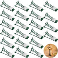 Qualirey 24 Pcs Outdoor Gopher Trap Easy Set Mole Trap Weather Resistant Gopher Killer Vole Killer for Lawn Garden Farm (Green)