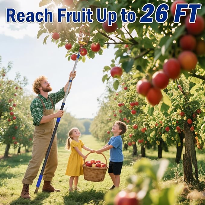 26FT Reach Fruit Picker Pole with Basket Telescoping, 5-20FT Extendable Aluminum Apple Picker for Picking Avocados, Figs, Mangoes, Citrus Fruits - Durable Harvesting Fruit Catcher for Trees