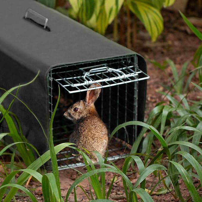 Trap Cage Cover,ONLY Cover, Cage not Included, Heavy Duty Animal Trap Cage Cover Small Animal Trap Cover for 1-Door Humane Cat Trap 32 x 10 x 12inch (Black, ONLY Cover, Cage not Included)