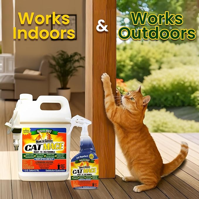 Nature's Mace Cat Mace Cat Repellent, Pets Training Tool, Outdoor & Indoor, Home, Liquid Spray Deterrent, Landscaped, Marking, Anti-Scratch, Garden & Furniture Protector, Ready-to-Use, 1 Gallon Spray