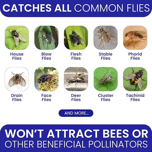 2 Fly Traps Outdoor Fly Trap for Patio with 4 Non-Toxic Dissolvable Bait Refills. Reusable Hanging Bug Catcher Killer for All Filth Flies for Outside Bug Control Yard Ranch. Hanging Chains Included