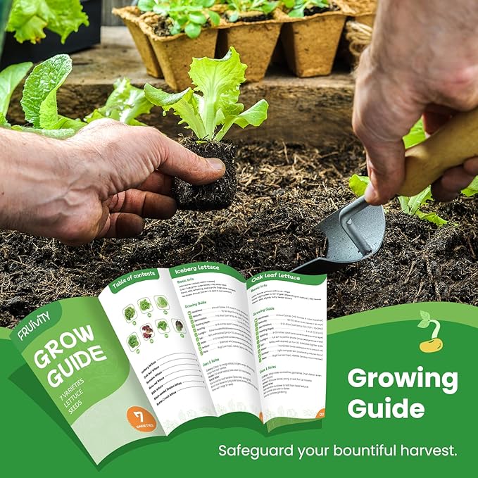7000+ Organic Lettuce Seeds Collection - 7 Variety Heirloom Lettuce Seeds Mix Iceberg, Romaine, Bibb, Butter Crunch, Black-Seeded Simpson & More Non-GMO, Heirloom for Hydroponics or Garden