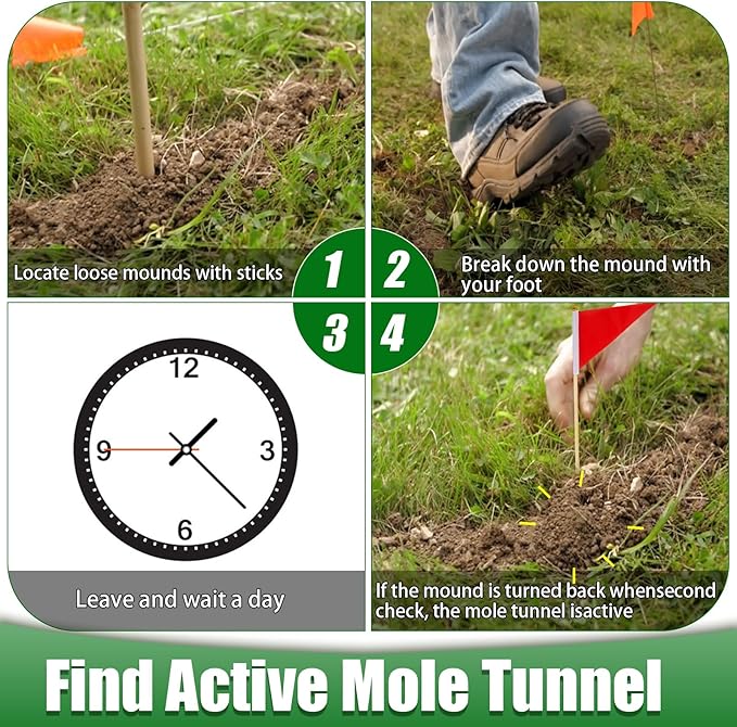 2 Pack Mole Traps That Kill Best, Vole Traps Outdoor Use Scissor for Lawns, Mole Trap Easy to Set Galvanized Steel Reusable Quick Capture Gopher