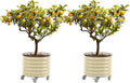 Rolling Metal Citrus Tree Planter, Self-Watering Round Planter Box for Porch Patio & Backyard, Raised Garden Bed with Wheels for Growing Trees Tomatoes Vegetables and Flowers, Twin Pack-Pearl White