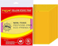 Faicuk Yellow Dual-Sided Sticky Fly Traps for Plant Insect Like Aphids, Fungus Gnats, Leaf Miners and White Flies (10 Pack)