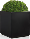 Wallowa Metallic Heavy Cube Planter Box, No Assemble, Seamless Large Square Planter for Trees, Plants and Flowers 21”Lx21”Wx24”H 35Pounds Black with Hand Brushed Gold Rim