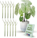 Plant Support Stakes, Stem Holder Structures for Indoor & Outdoor Use, Garden Accessories for Climbing & Potted Plants, Trellis Alternative - Peony (Light Green), 10 Pack, 22" L, Original