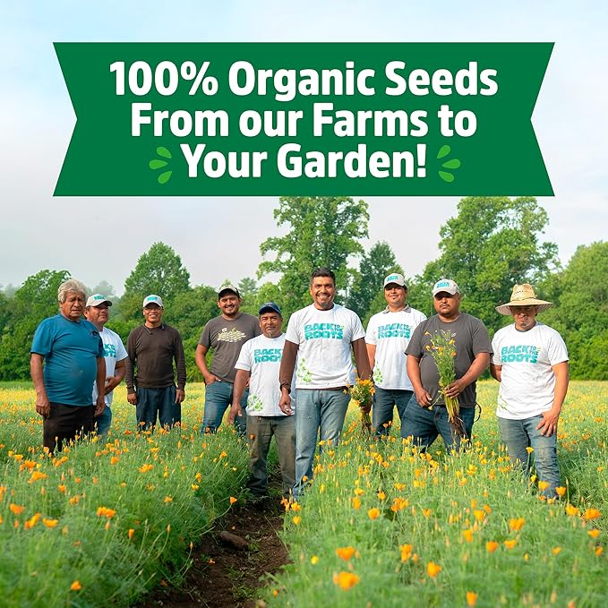 Back to The Roots Organic Vegetable Seeds Variety (5-Pack)