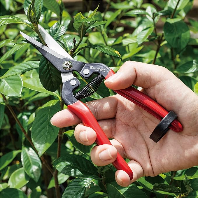 Gardeness Gardening Scissor 2 PCS SK5 high Carbon Steel Straight Florist Scissors, Pruning Snip, Multi-Tasking Garden Precision Herb Snips Flower Clippers Bonsai Trimmers Hydroponic Herbs