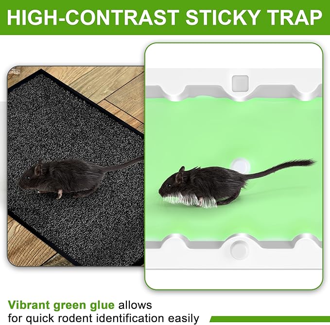 Qualirey 24 Pack Mouse Glue Trap, Super Sticky Traps Mouse Size for Mice and Rats, Pre-Scented, Non Toxic Mice Glue Boards, Rodent Sticky Pads Indoor for Home, Easy to Use, Pet Safe Pest Control