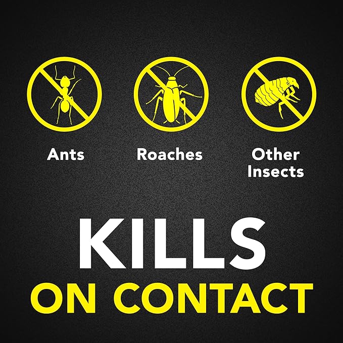 Raid Ant & Roach Killer Spray For Listed Bugs, Keeps Killing for Weeks, Fresh Scent, 17.5 oz